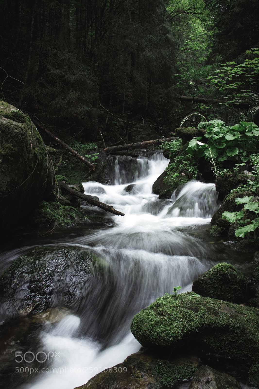 Canon EOS 77D (EOS 9000D / EOS 770D) sample photo. Where adventures begin photography
