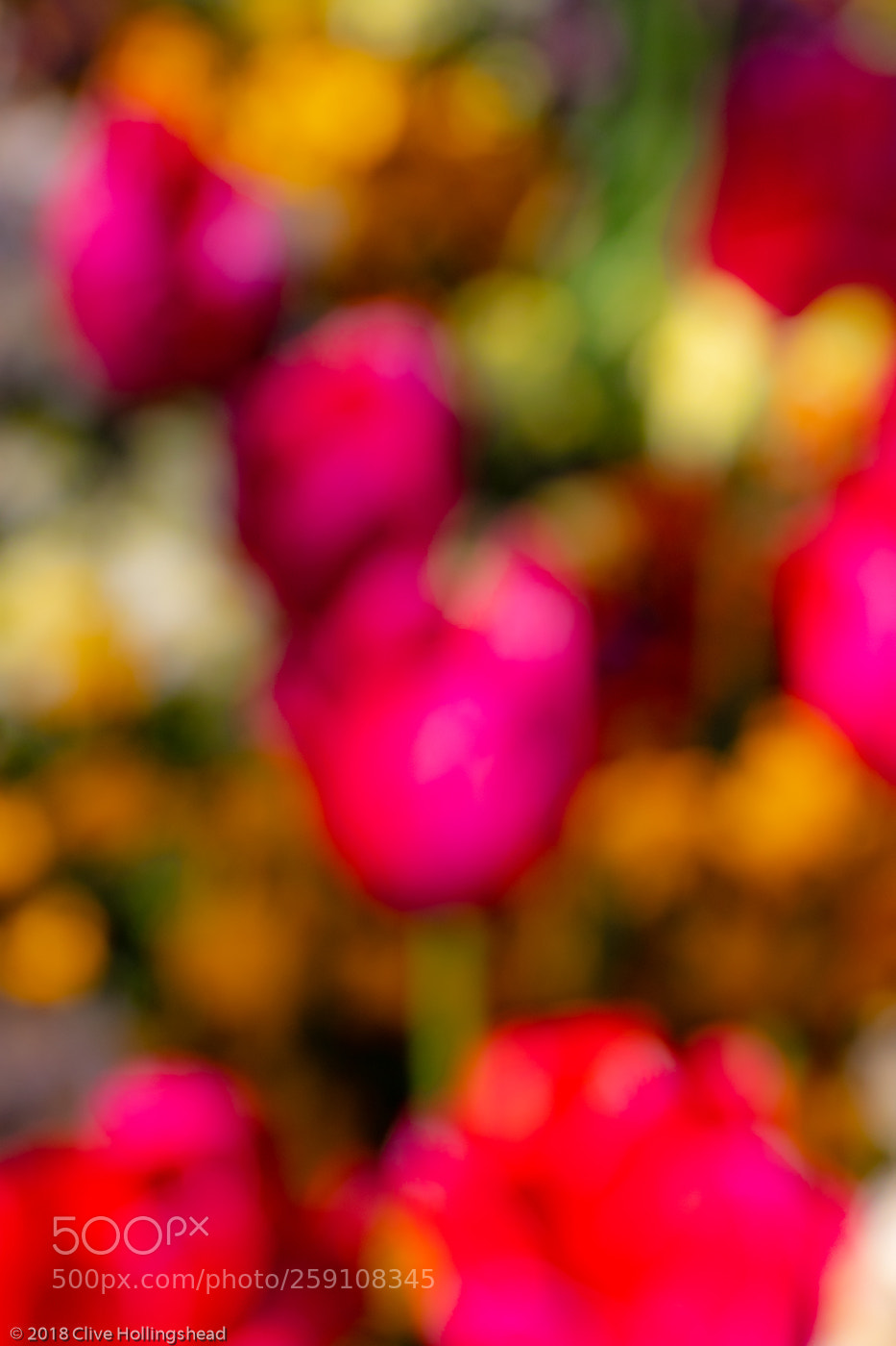 Canon EOS 7D Mark II sample photo. Life is just one photography