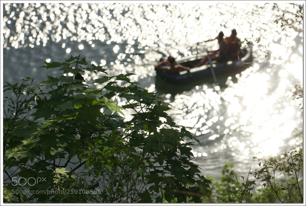 Canon EOS 60D sample photo. Untitled photography