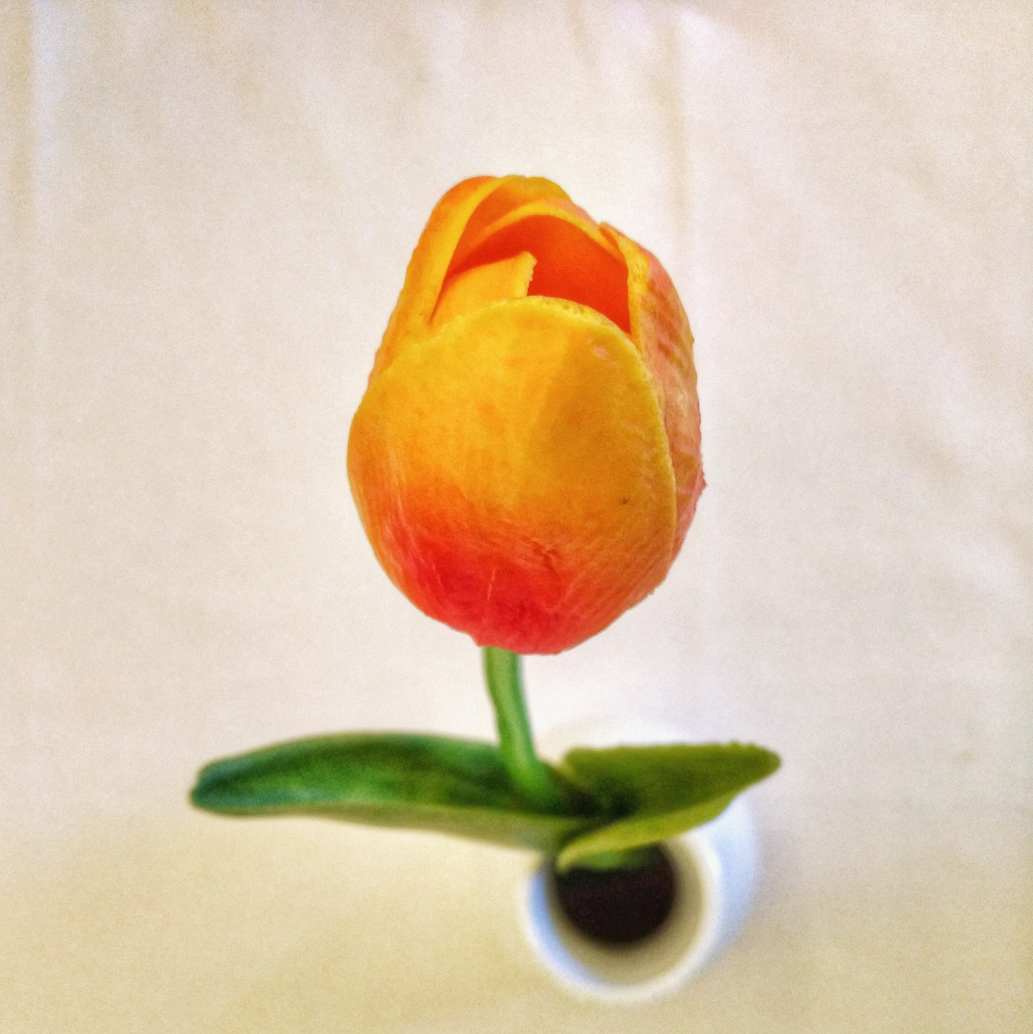 HUAWEI nova sample photo
