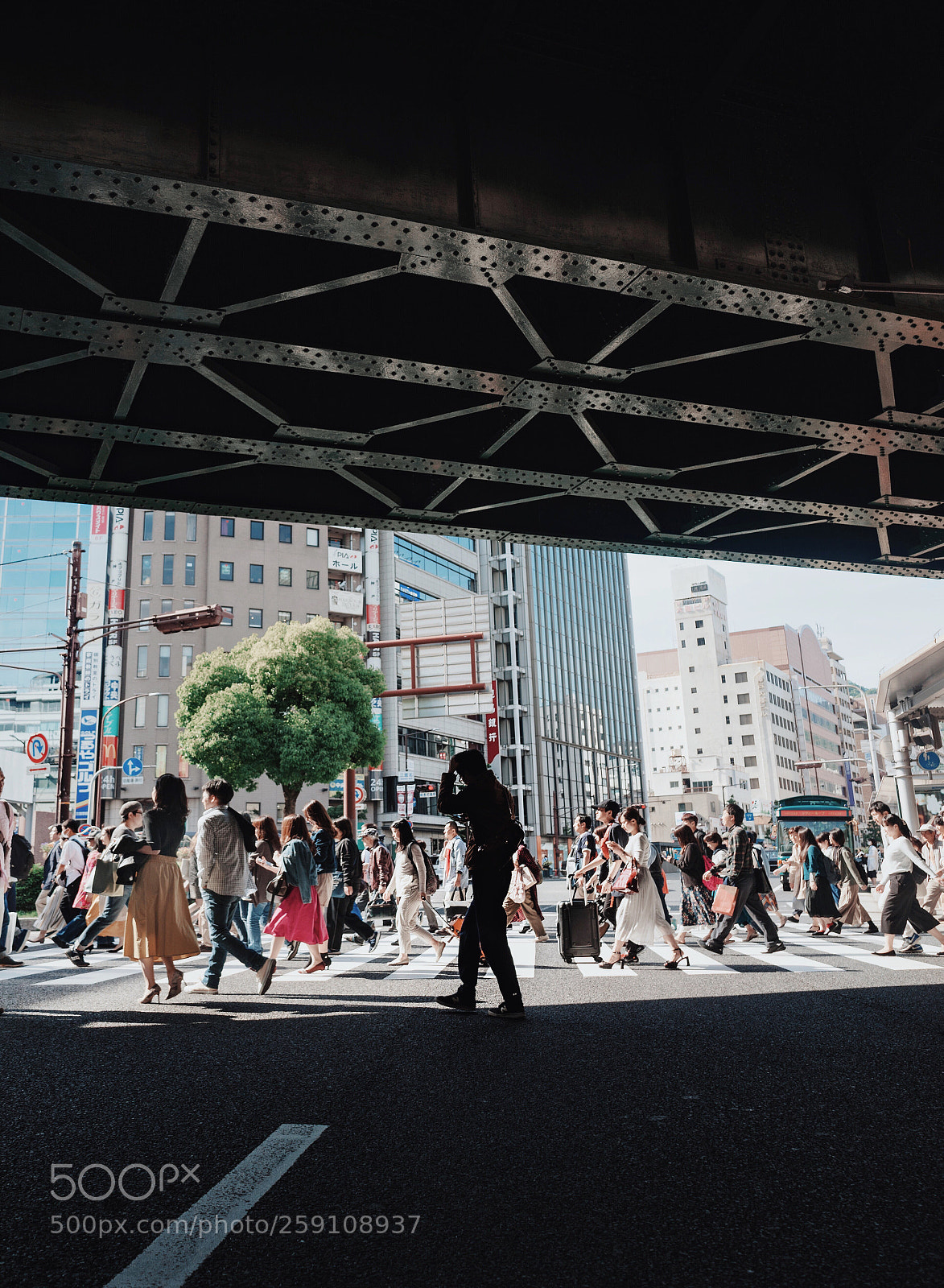 Sony a7 II sample photo. The walk photography