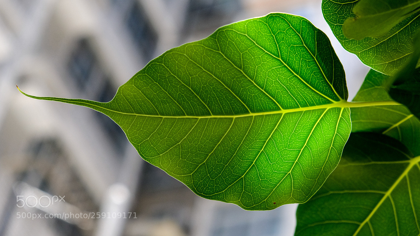 Fujifilm X-T20 sample photo. Untitled photography