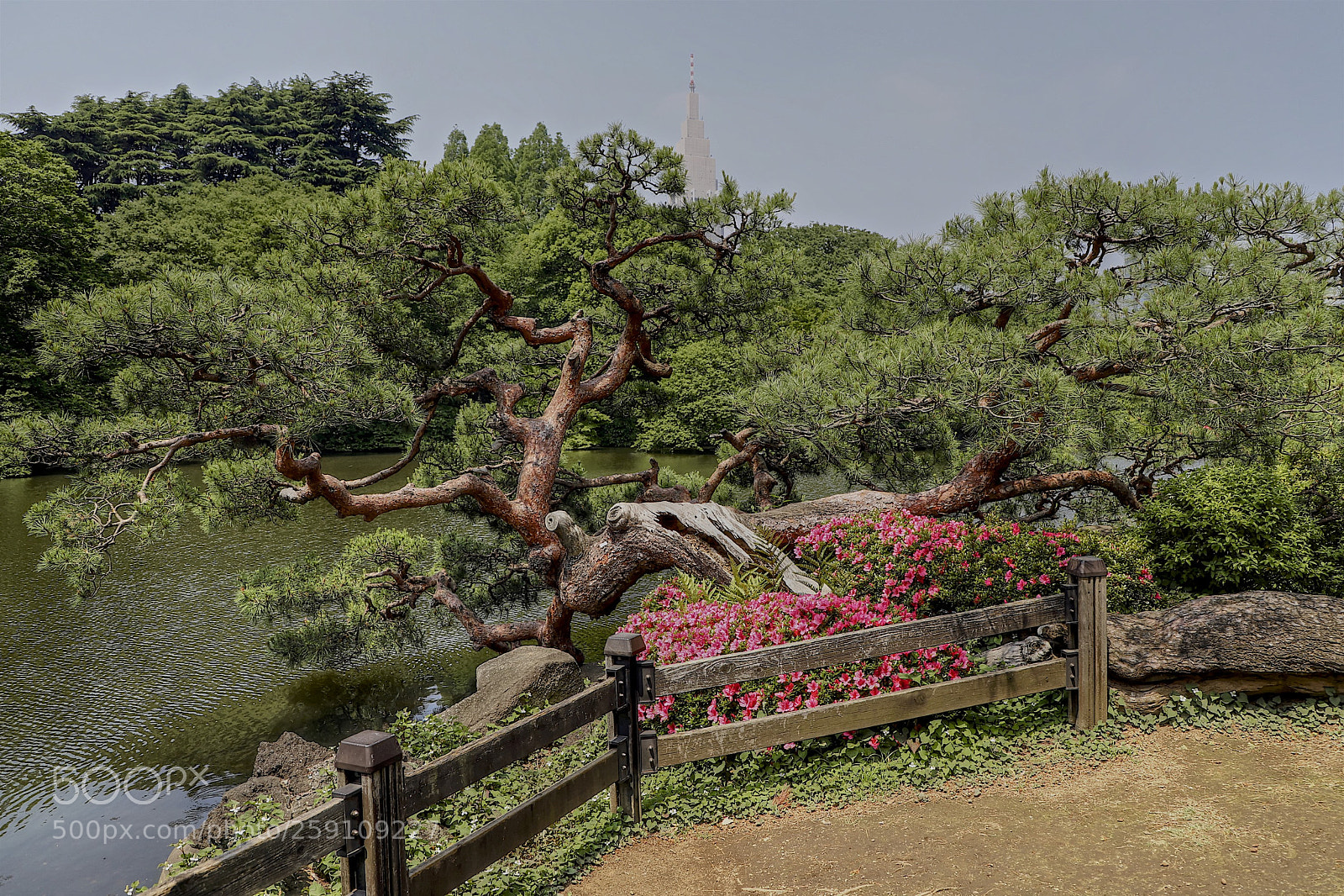 Canon EOS 6D Mark II sample photo. The garden photography