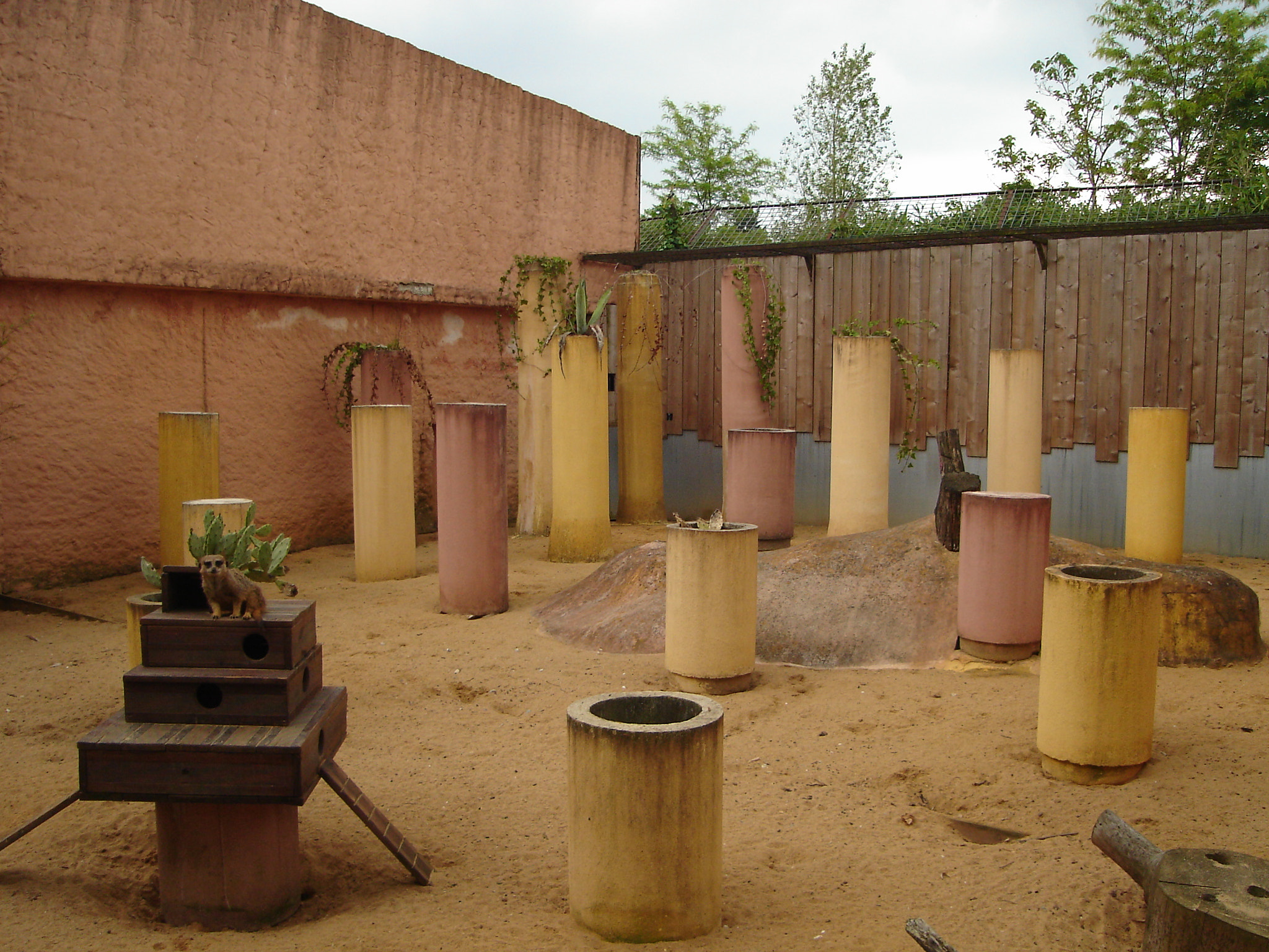 Sony DSC-L1 sample photo. Columns in a zoo photography