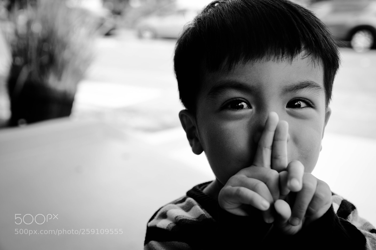 Nikon D7200 sample photo. Pose for the camera! photography