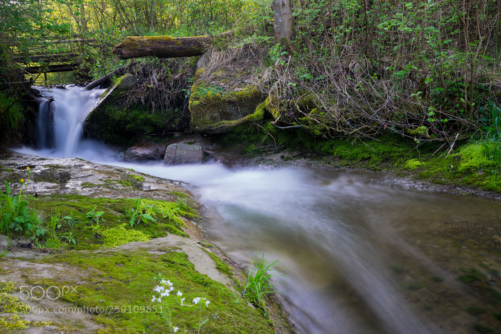Sony a7 II sample photo. Richterswilbach im kanton freiburg photography
