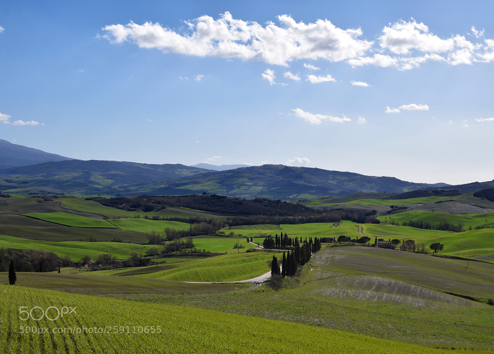 Nikon D5300 sample photo. Val d’orcia photography