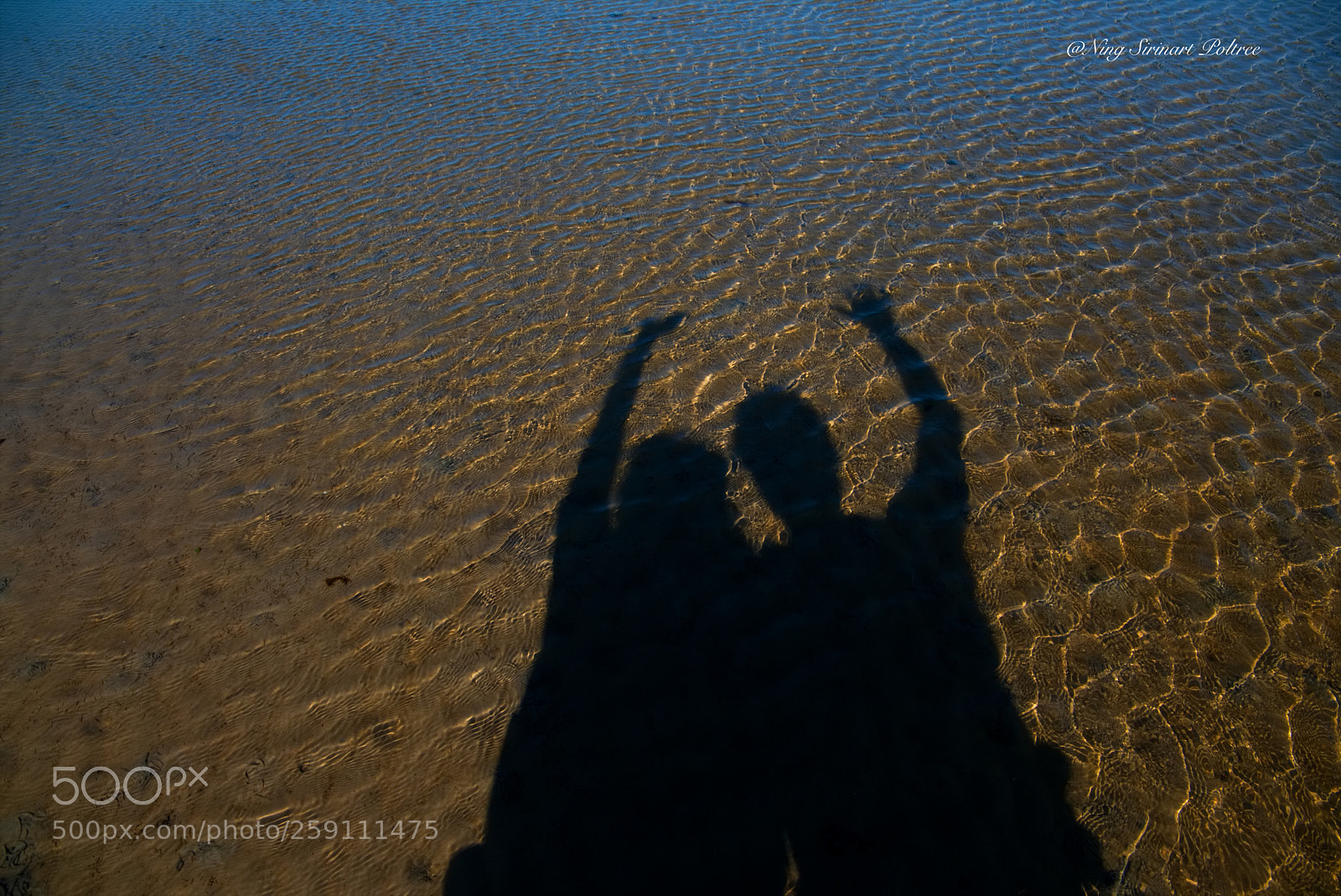 Canon EOS 6D sample photo. Hi , from nordsee photography