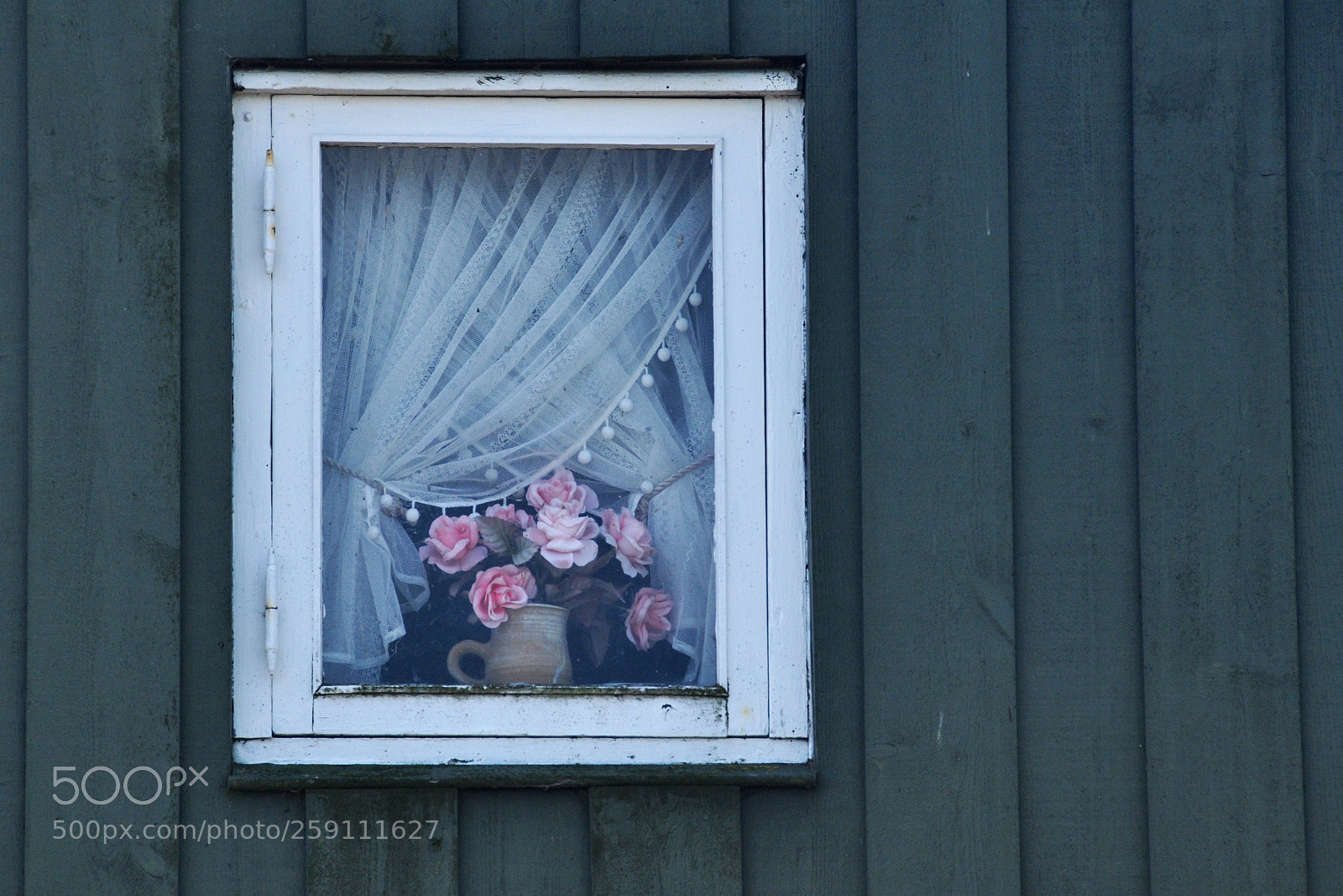 Nikon D5000 sample photo. Roses in the window photography
