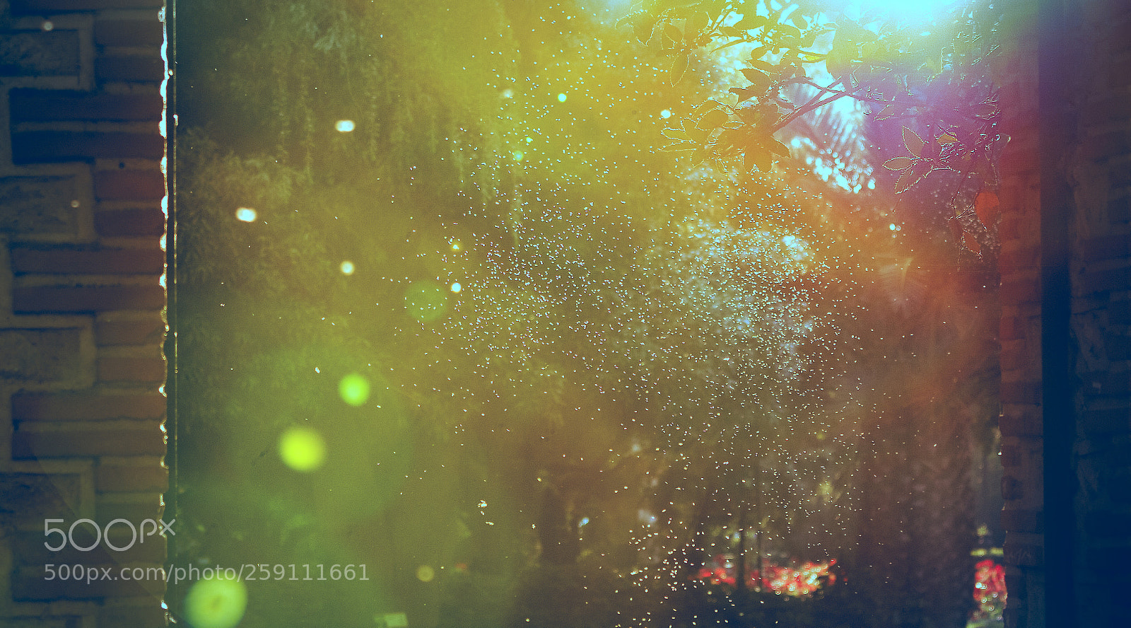 Canon EOS 750D (EOS Rebel T6i / EOS Kiss X8i) sample photo. Magic light photography