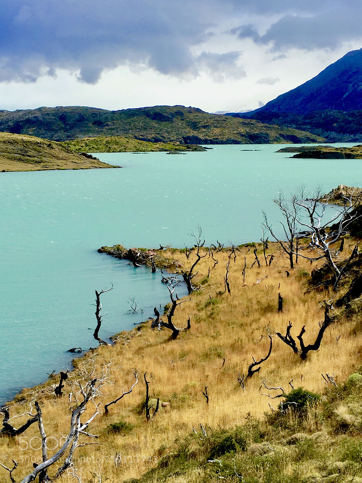 Apple iPhone 6s Plus sample photo. Hobbit land
lago grene photography