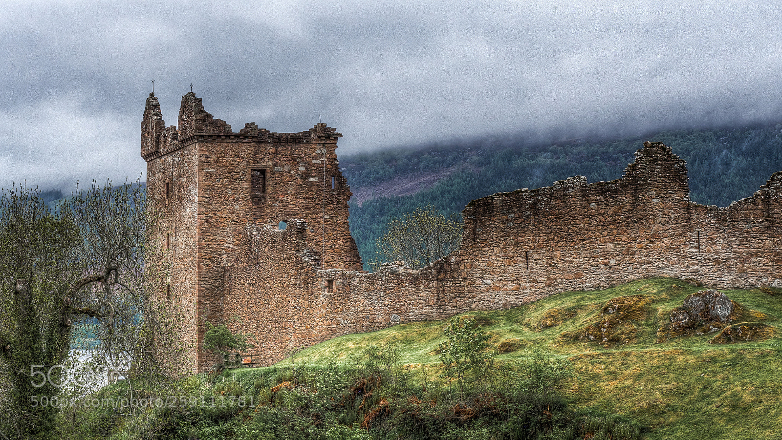Olympus OM-D E-M5 II sample photo. Visiting scotland - urquhart photography