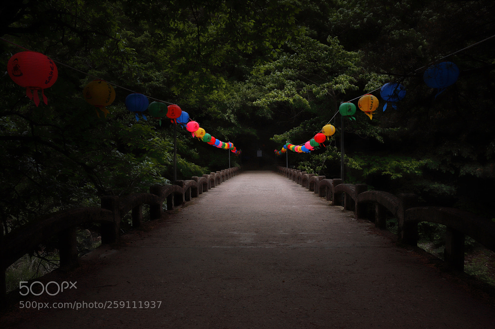 Canon EOS 6D Mark II sample photo. Bridge to twilight zone photography