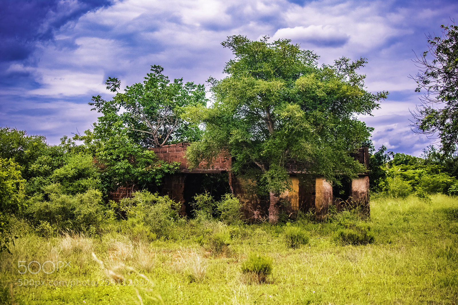 Canon EOS 6D Mark II sample photo. House photography