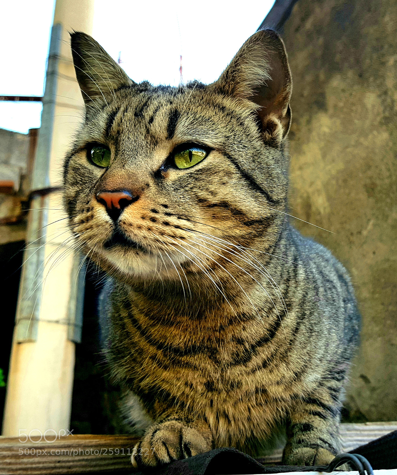 Samsung Galaxy S8 sample photo. Untitled photography