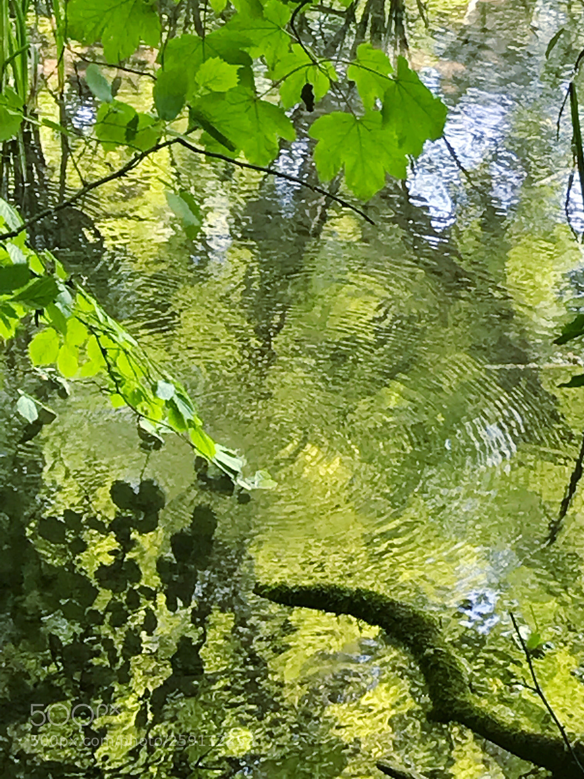 Apple iPhone 7 sample photo. Ripples photography
