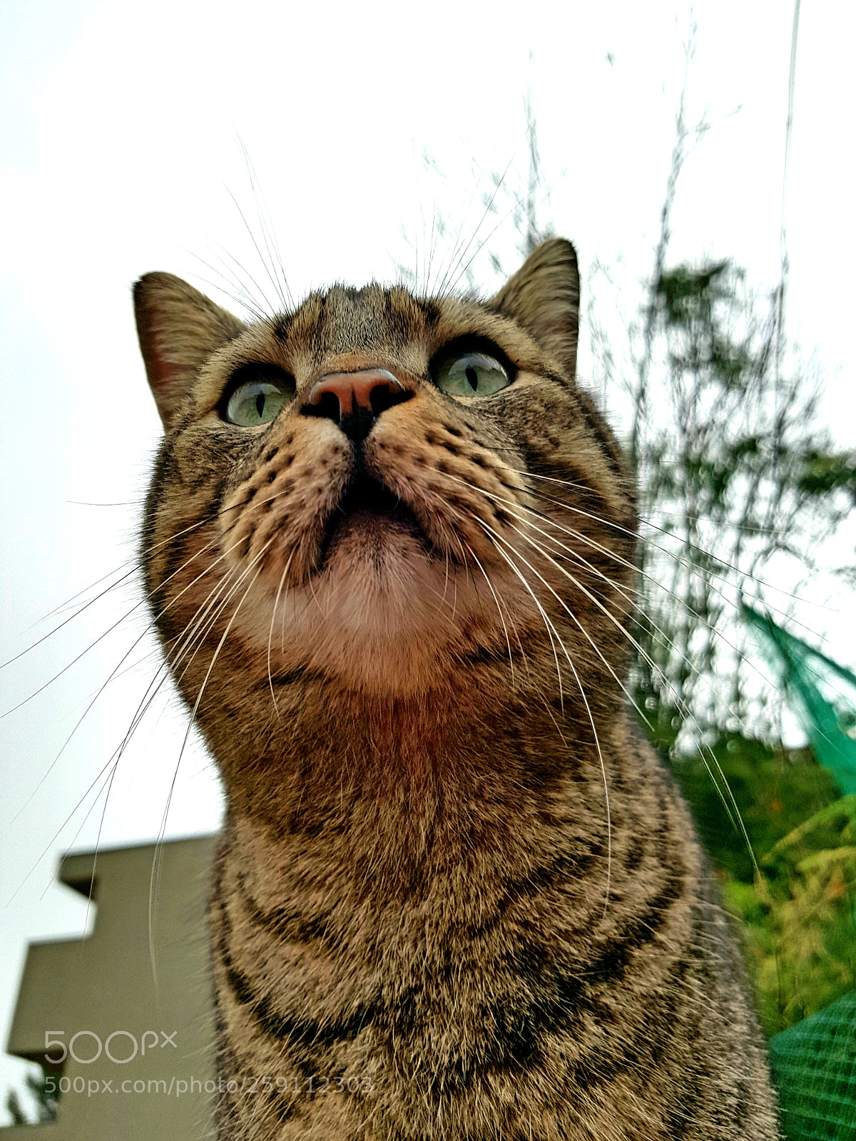 Samsung Galaxy S8 sample photo. Untitled photography