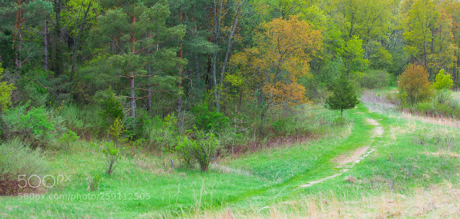 Nikon D90 sample photo. Spring color of fall photography