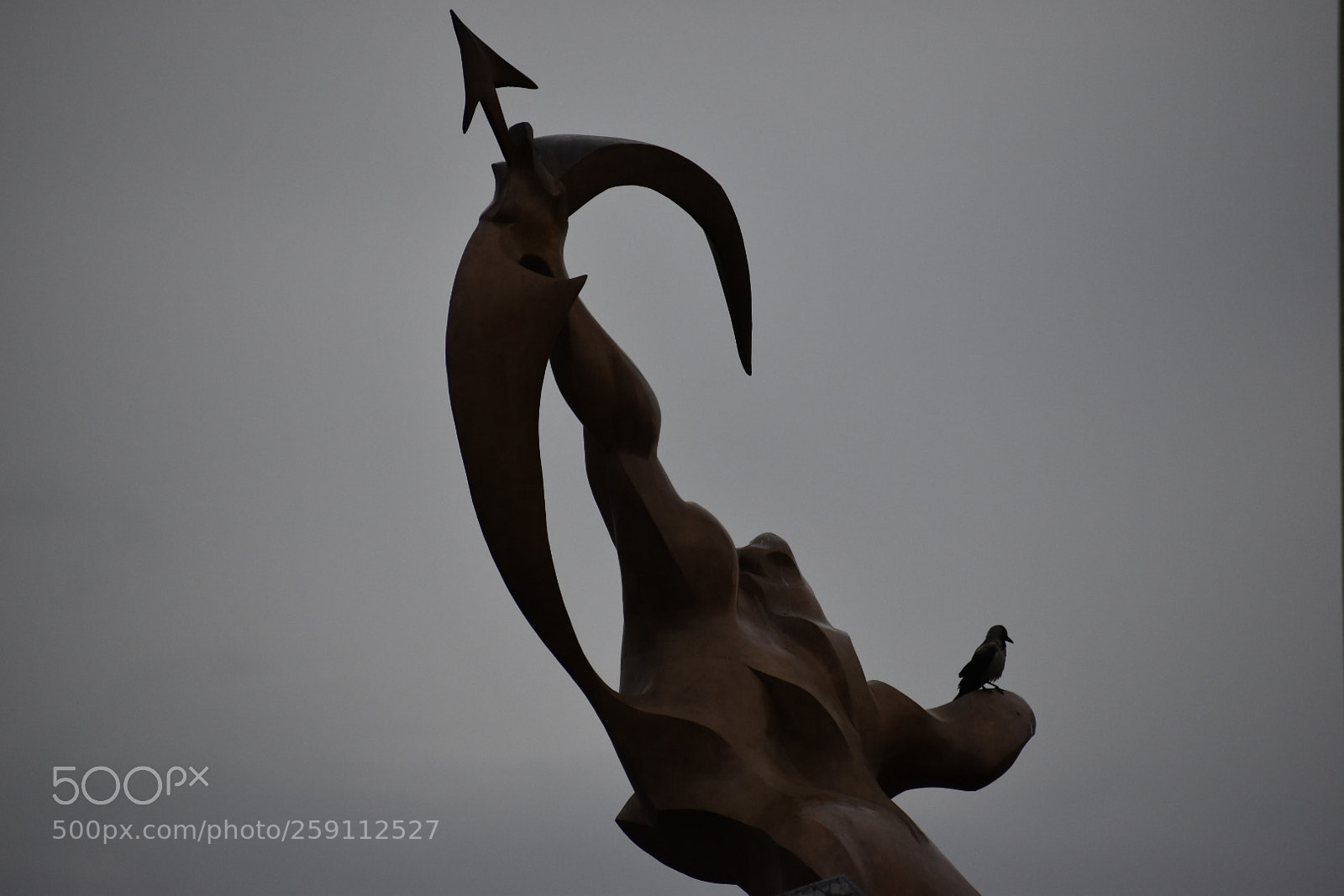 Nikon D5500 sample photo. Untitled photography