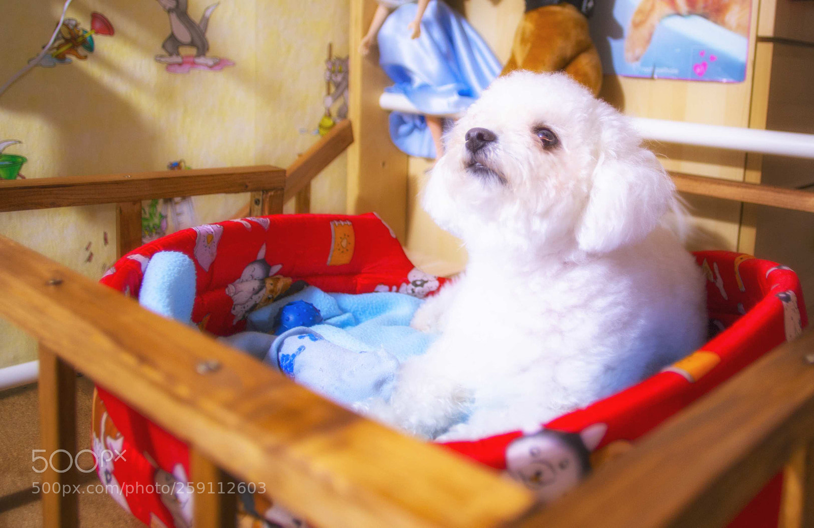 Canon EOS 6D sample photo. Suite photography