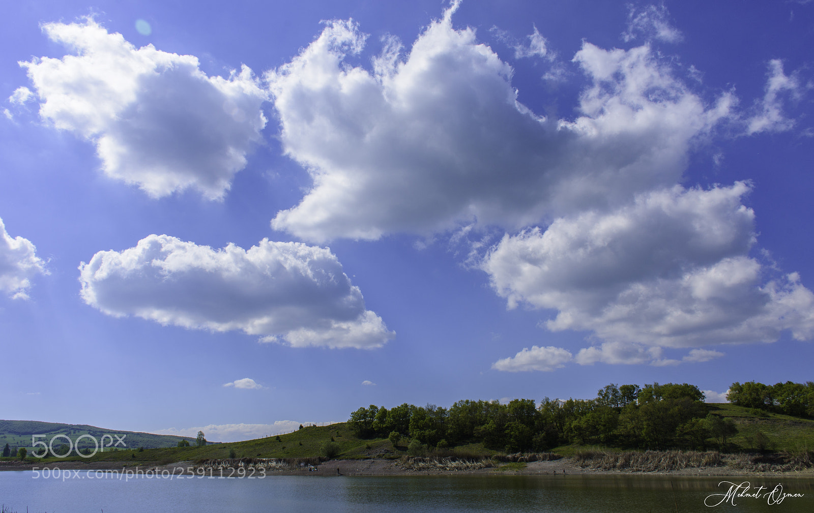 Nikon D7200 sample photo. Mavi & yeşil photography