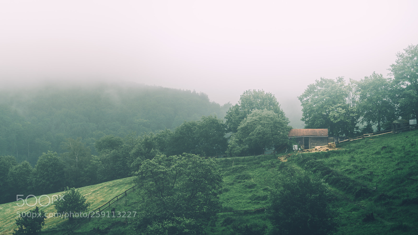 Sony a7R II sample photo. Solitude photography