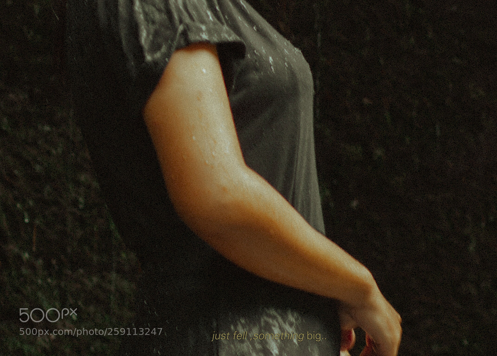 Canon EOS 50D sample photo. Untitled photography