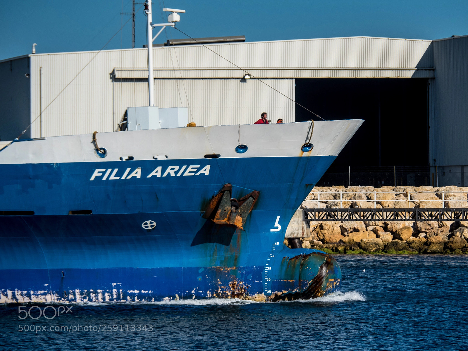 Olympus OM-D E-M5 II sample photo. Filia ariea - hull photography
