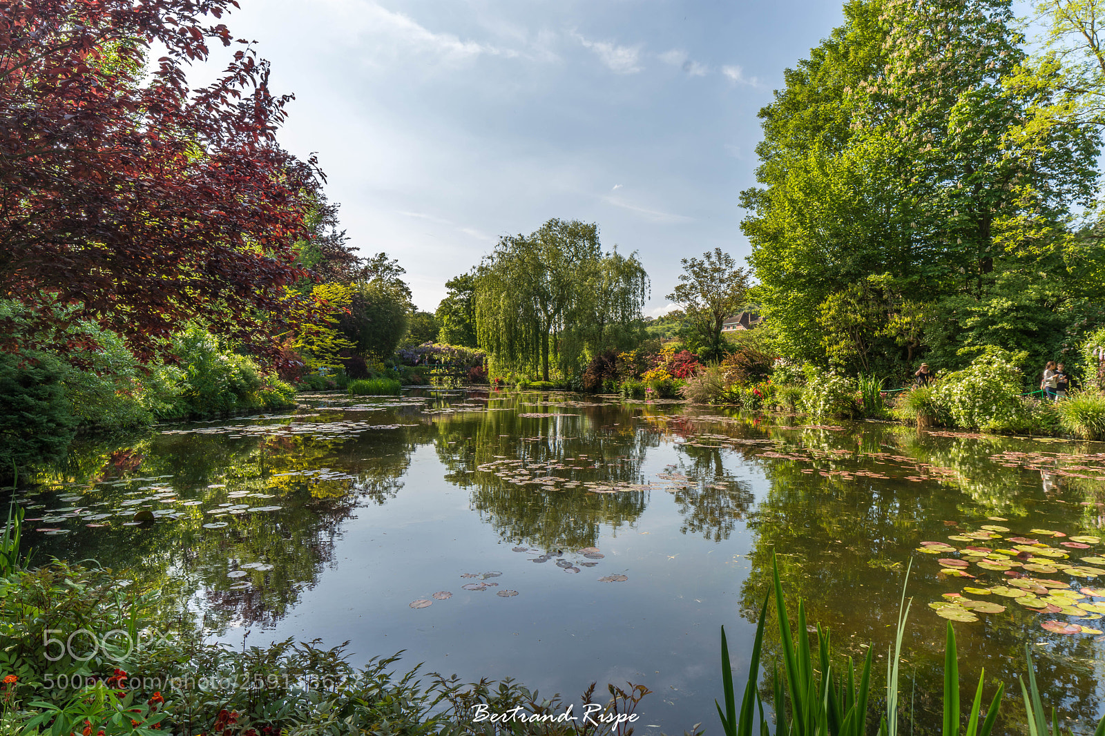 Nikon D7200 sample photo. Le majestueux photography