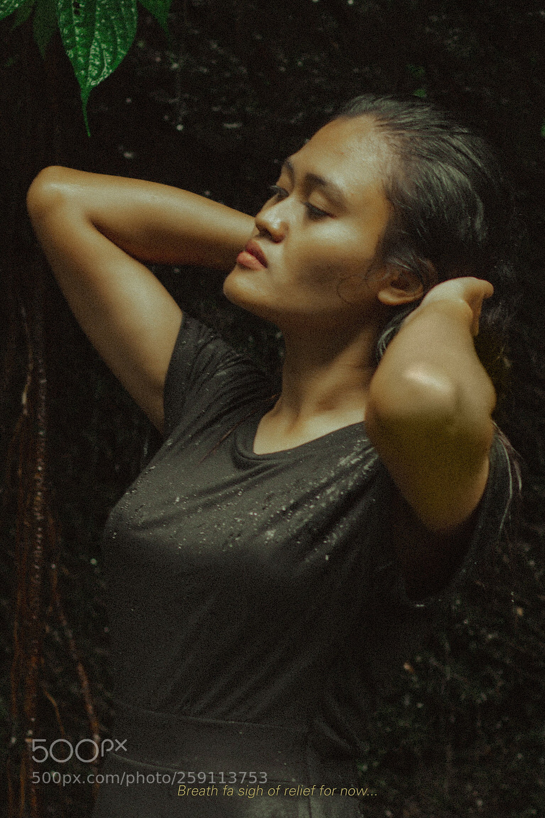 Canon EOS 50D sample photo. Untitled photography