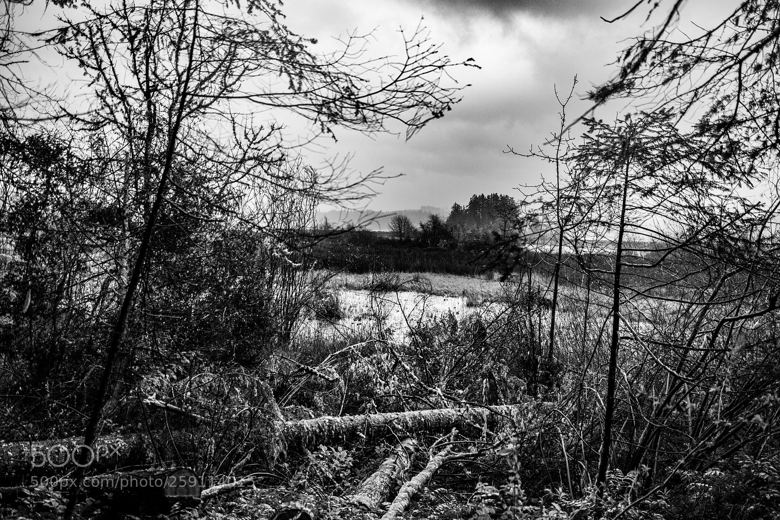 Canon EOS 5D Mark IV sample photo. Mt st. helens photography