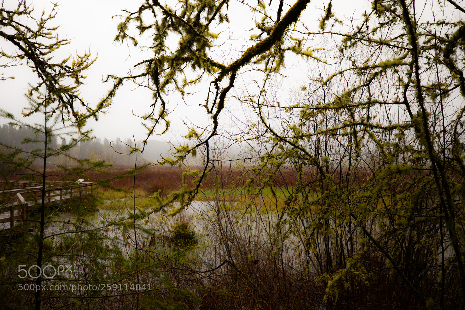 Canon EOS 5D Mark IV sample photo. Mt st. helens photography