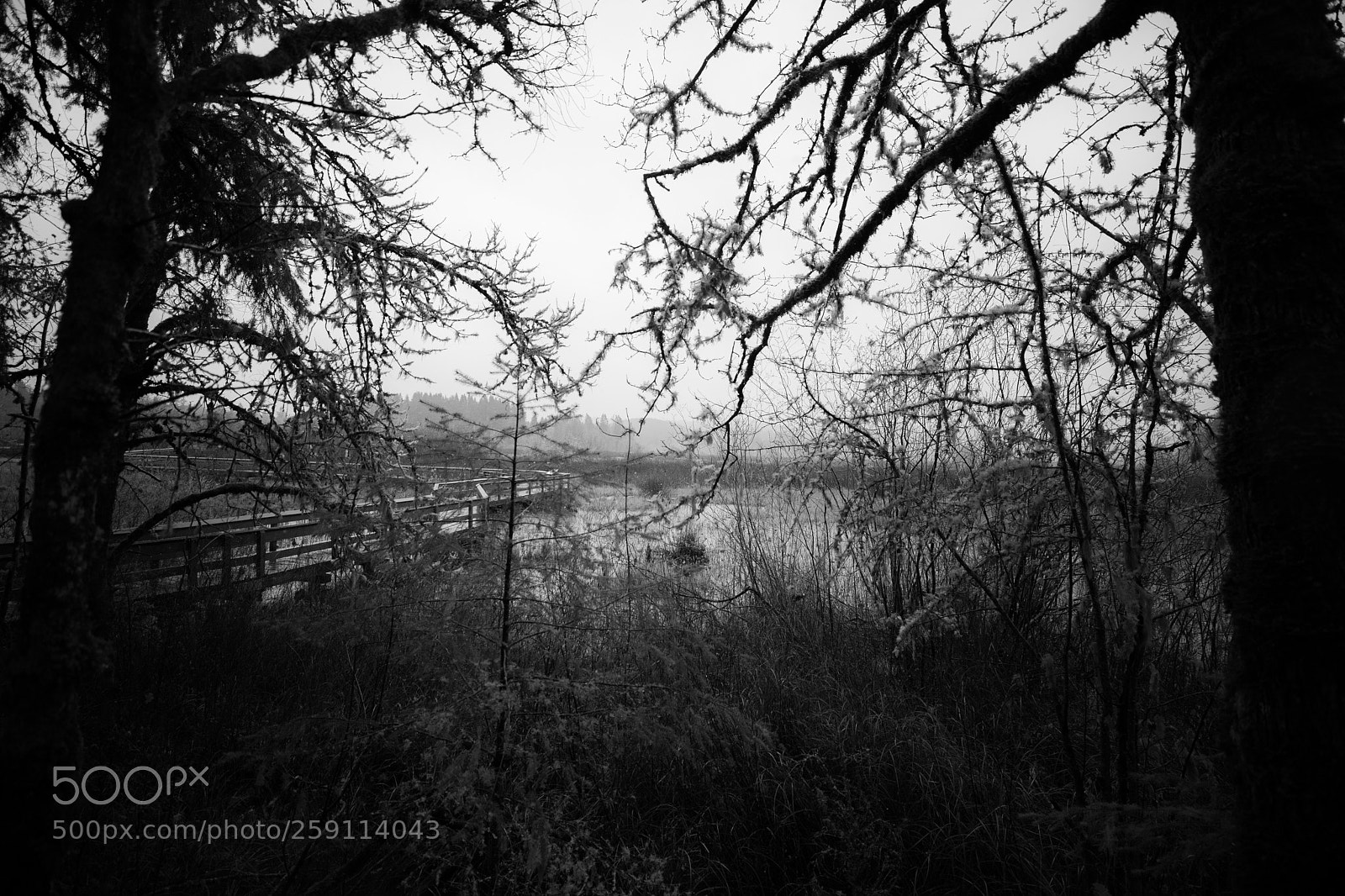 Canon EOS 5D Mark IV sample photo. Mt st. helens photography