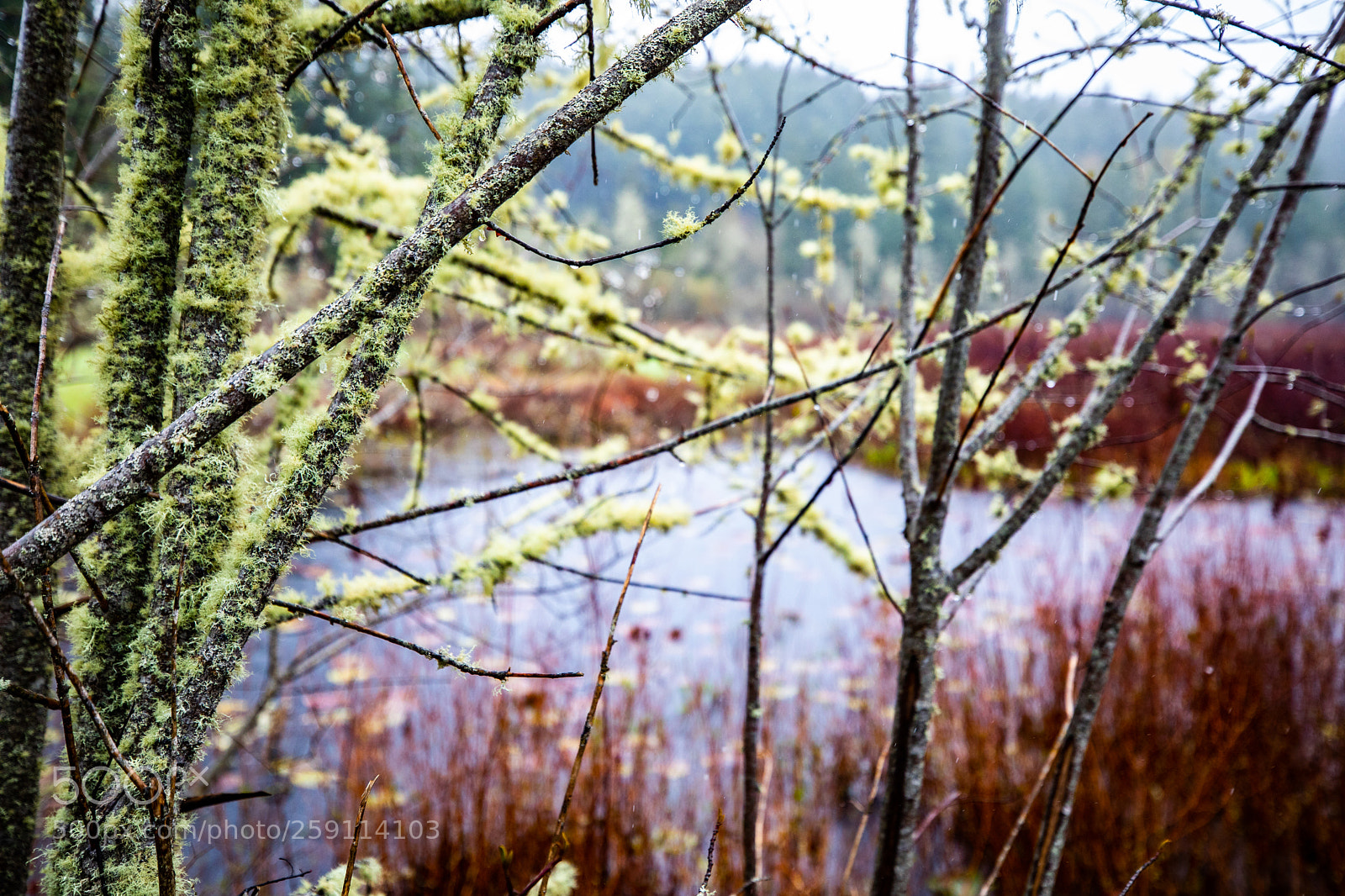Canon EOS 5D Mark IV sample photo. Mt st. helens photography