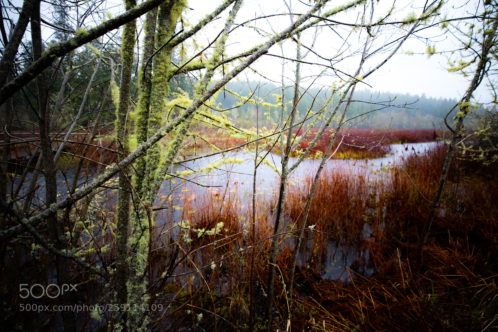 Canon EOS 5D Mark IV sample photo. Mt st. helens photography