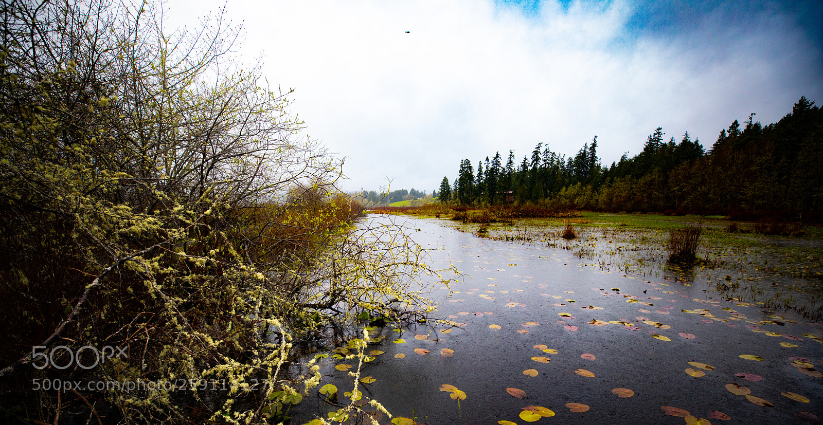 Canon EOS 5D Mark IV sample photo. Mt st. helens photography