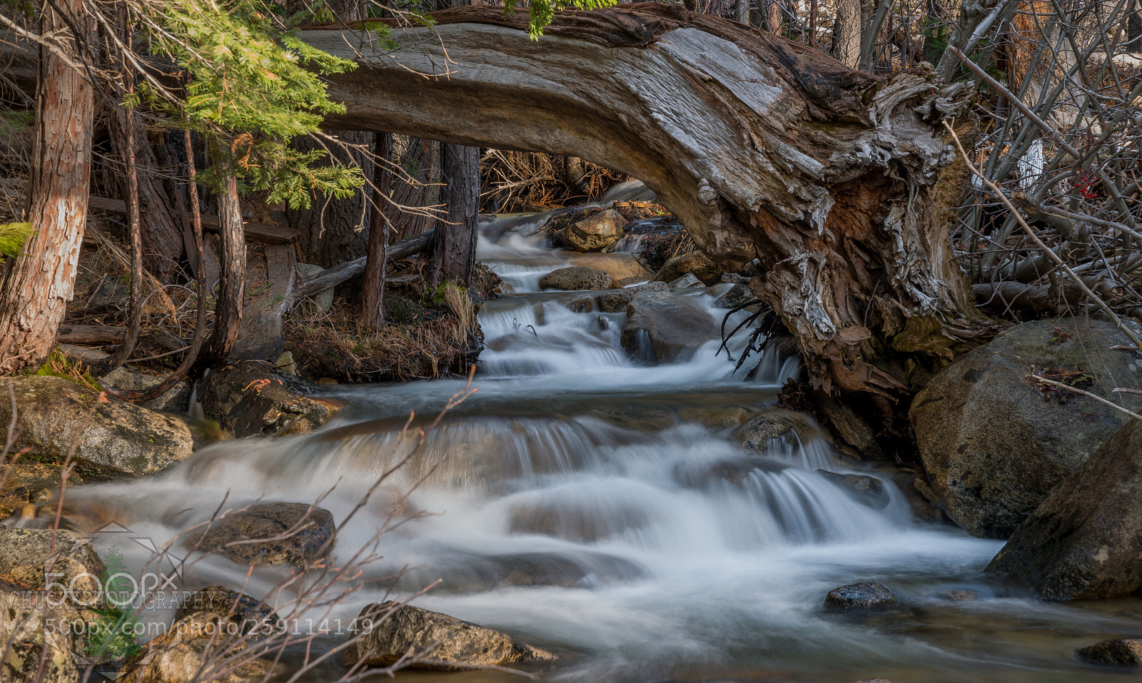 Nikon D800 sample photo. Horsetail falls photography