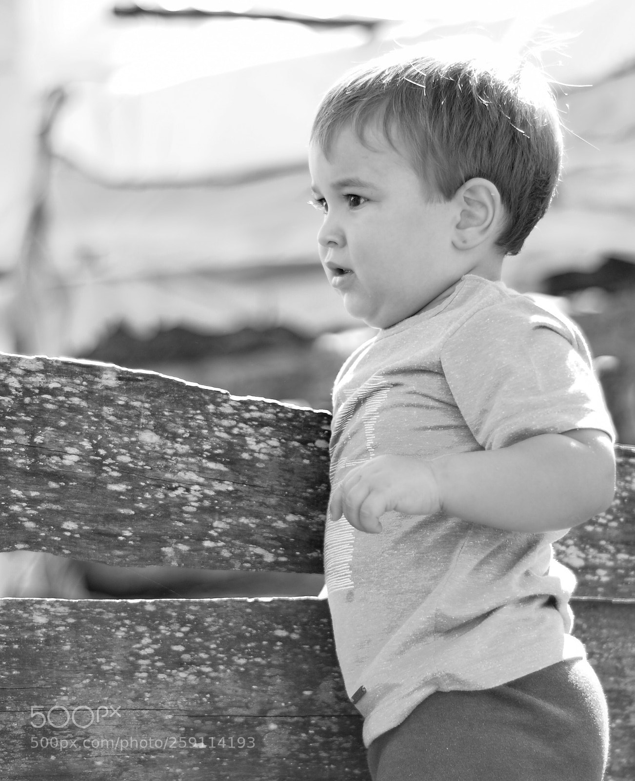 Nikon D5100 sample photo. Untitled photography