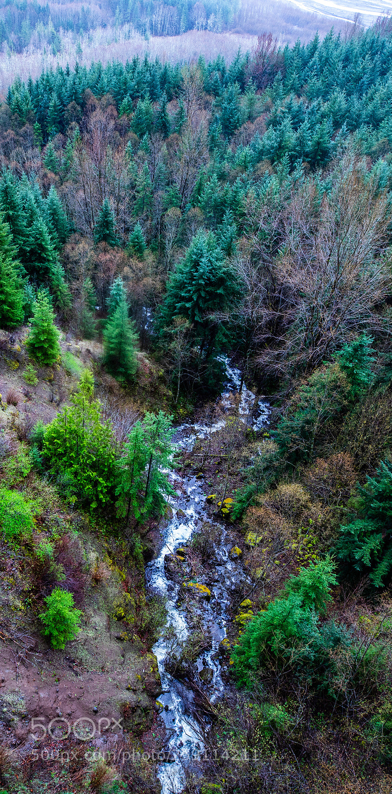 Canon EOS 5D Mark IV sample photo. Mt st. helens photography