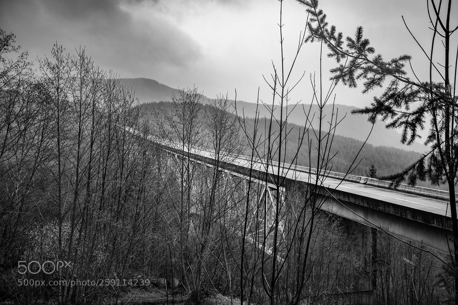 Canon EOS 5D Mark IV sample photo. Mt st. helens photography
