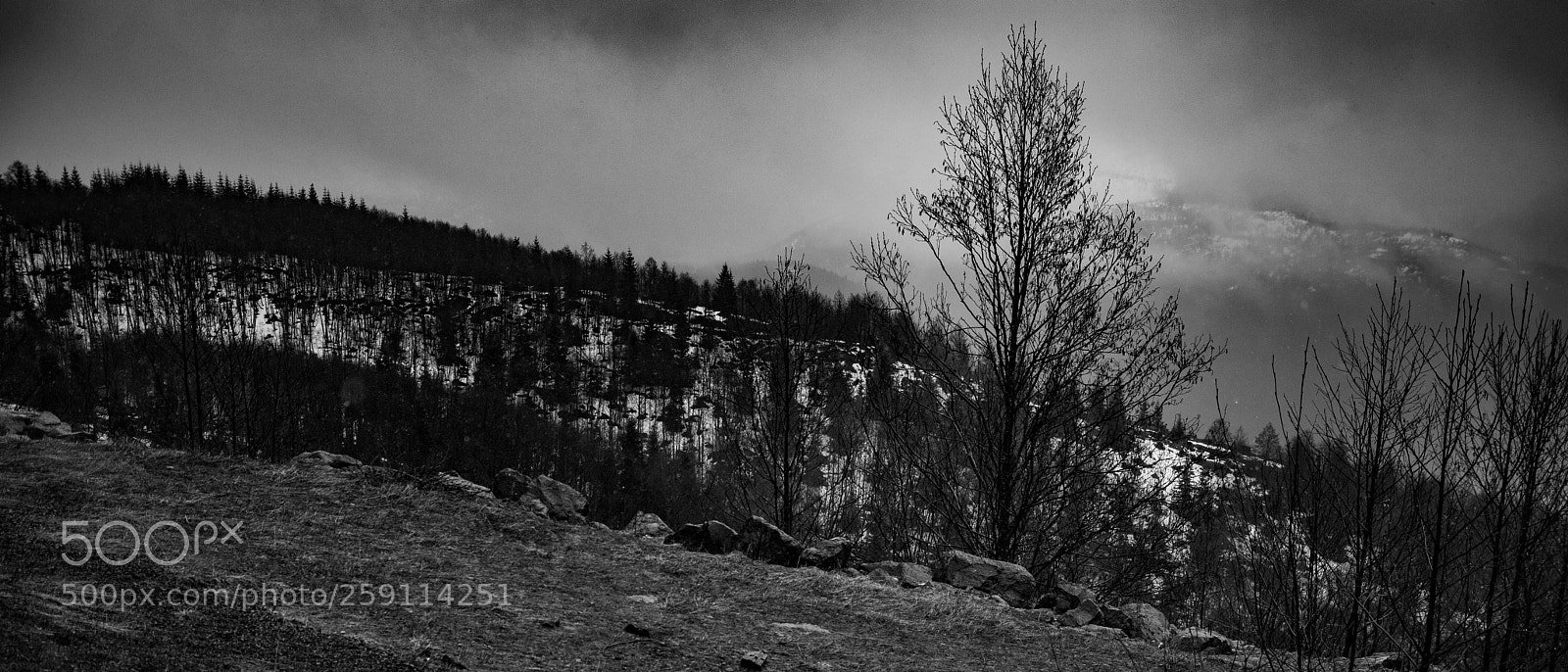 Canon EOS 5D Mark IV sample photo. Mt st. helens photography