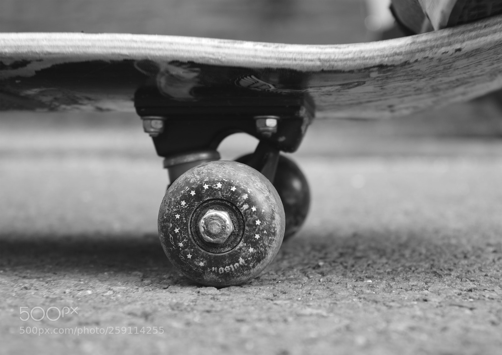 Nikon D3200 sample photo. Living life photography