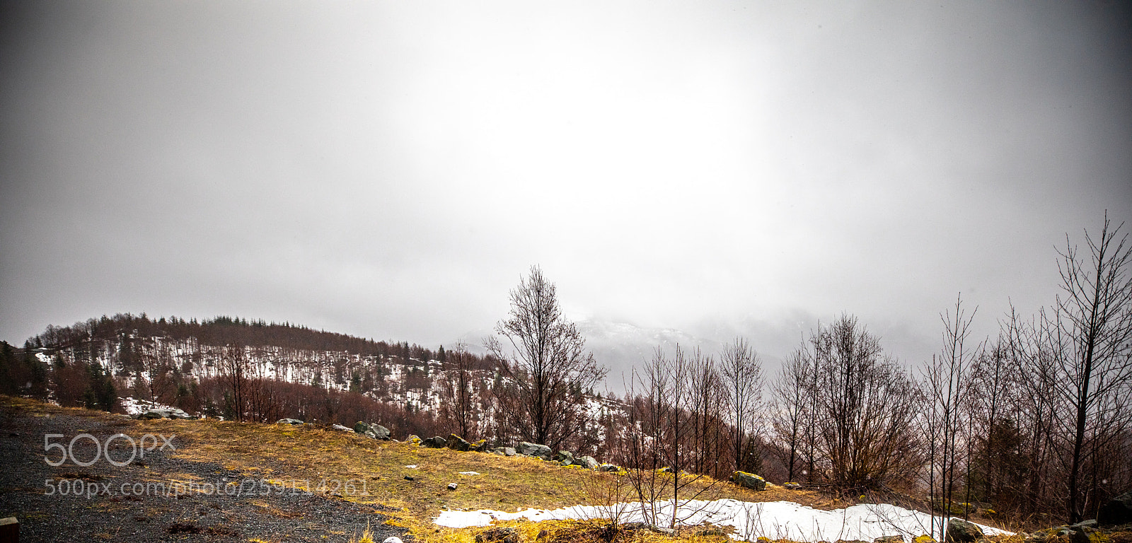Canon EOS 5D Mark IV sample photo. Mt st. helens photography