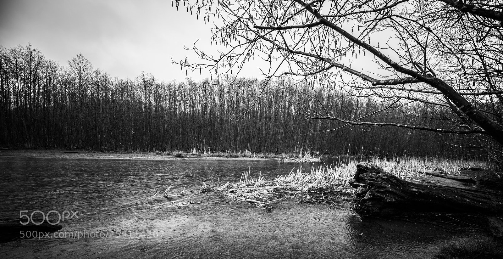 Canon EOS 5D Mark IV sample photo. Mt st. helens photography