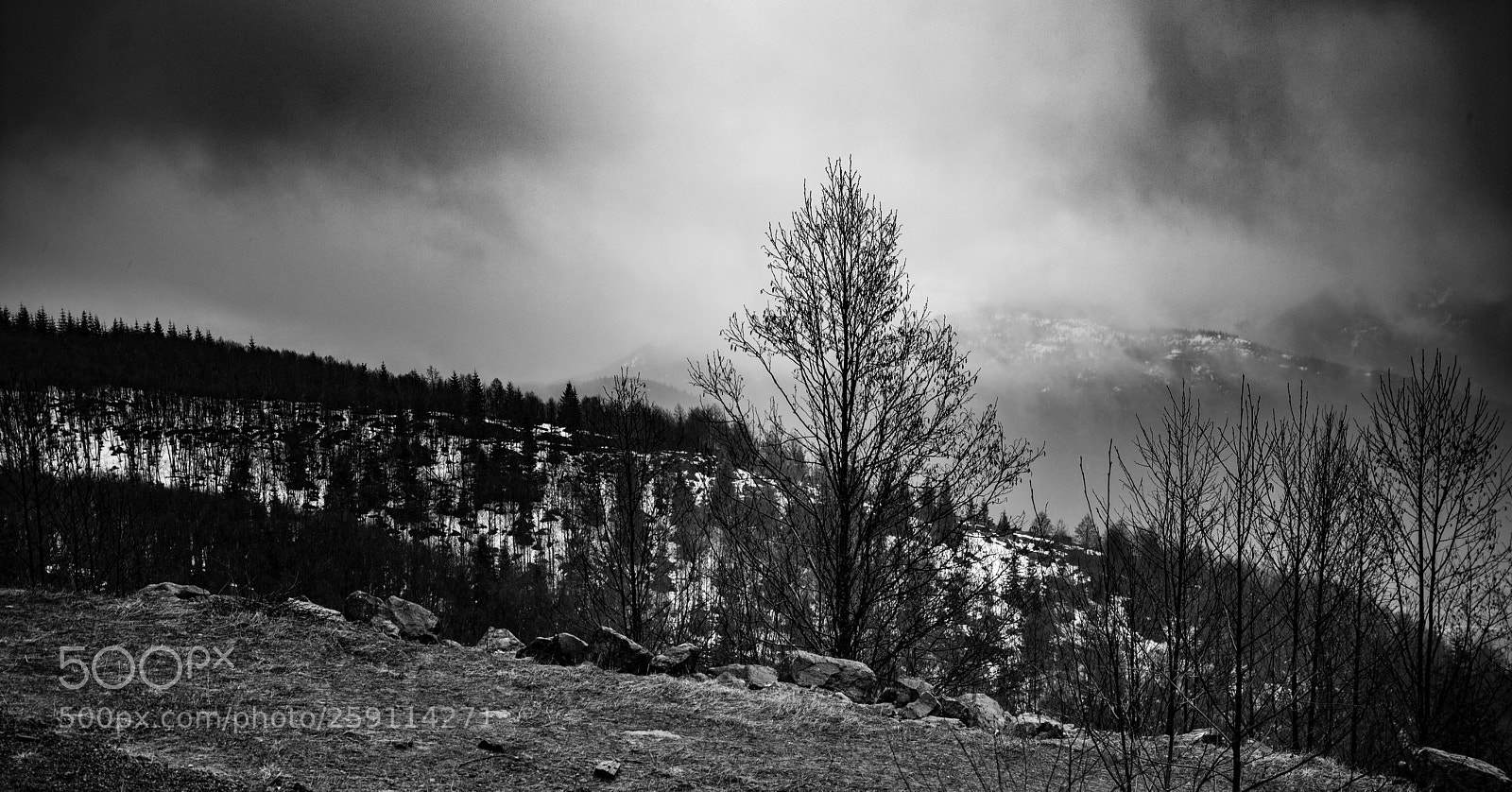 Canon EOS 5D Mark IV sample photo. Mt st. helens photography