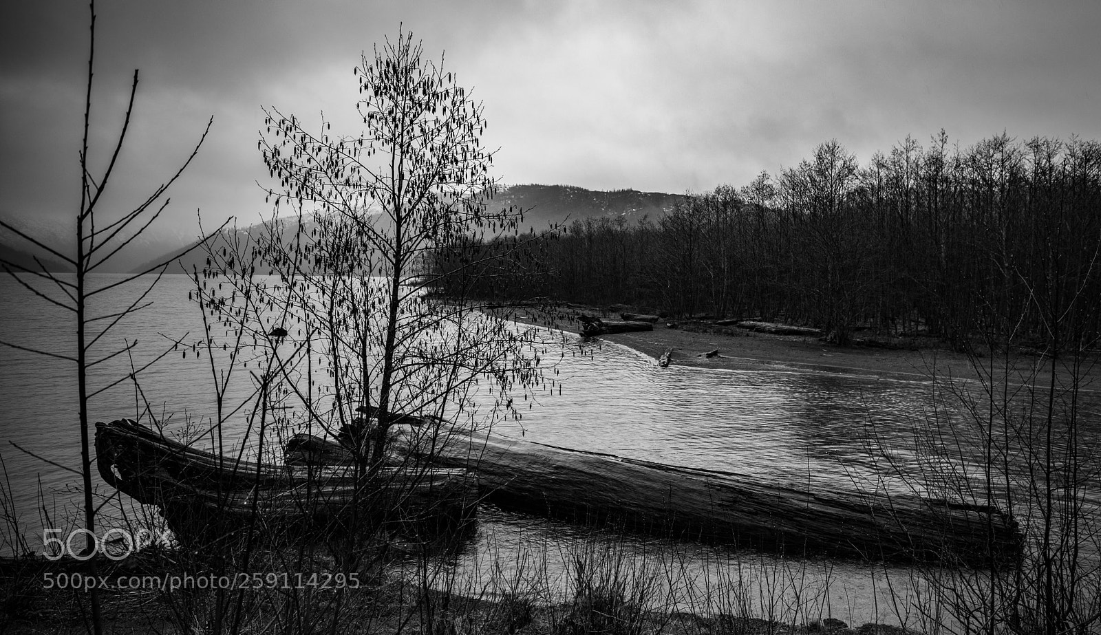 Canon EOS 5D Mark IV sample photo. Mt st. helens photography