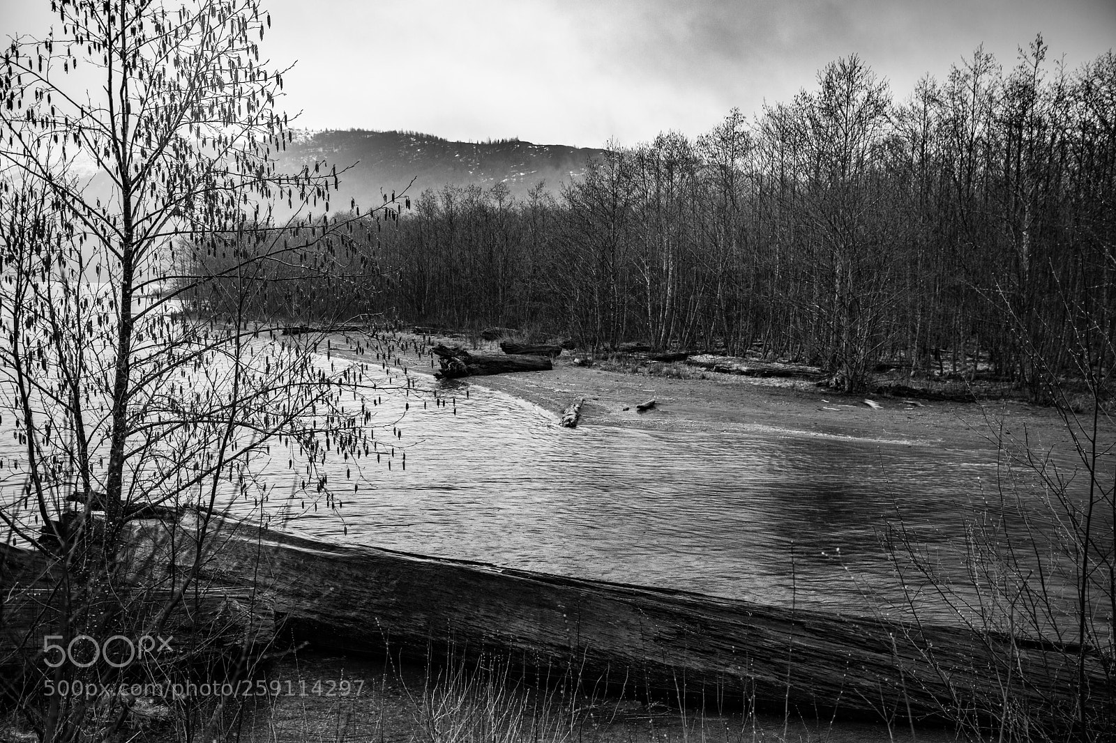 Canon EOS 5D Mark IV sample photo. Mt st. helens photography