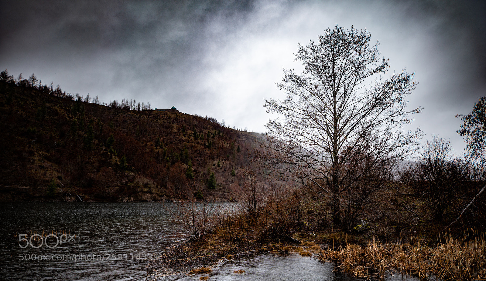 Canon EOS 5D Mark IV sample photo. Mt st. helens photography