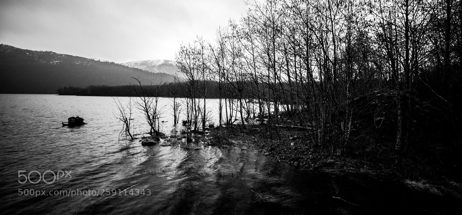 Canon EOS 5D Mark IV sample photo. Mt st. helens photography