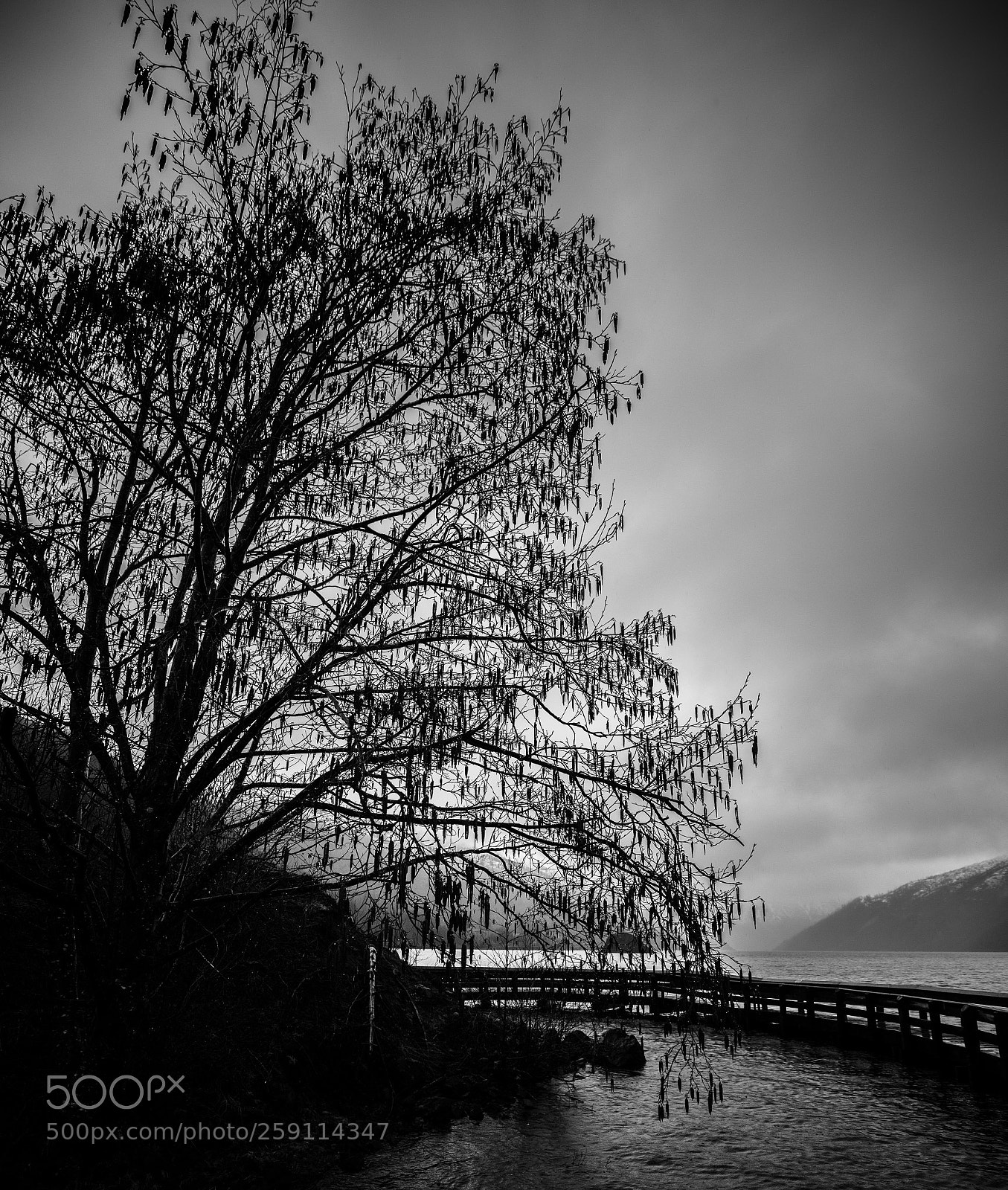 Canon EOS 5D Mark IV sample photo. Mt st. helens photography